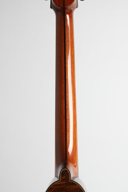 Lyon & Healy Washburn Style 5310 Carved Top Mandocello (1925)