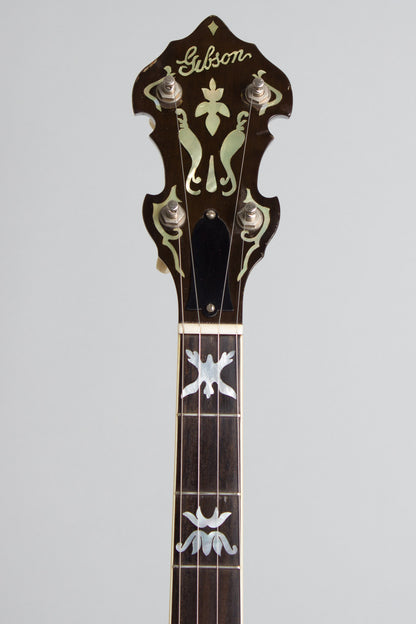 Monteleone Mastertone-style Neck on Alvarez Pot 5 String Resonator Banjo (1970/1973)