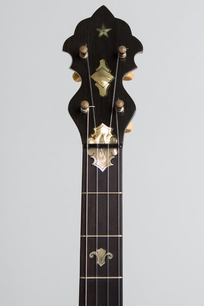Unbranded 5 String Banjo (1895)