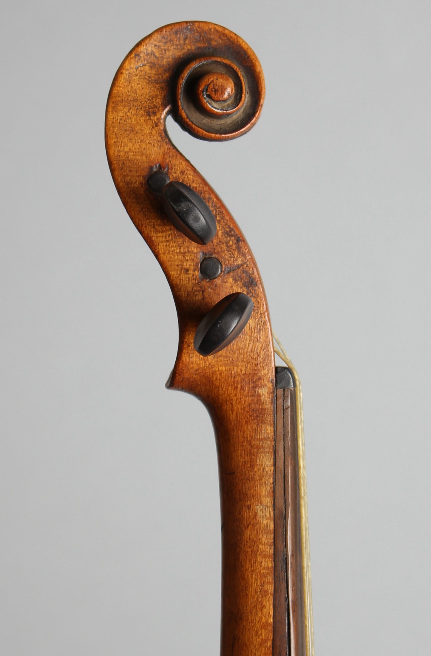 Pochette Violin