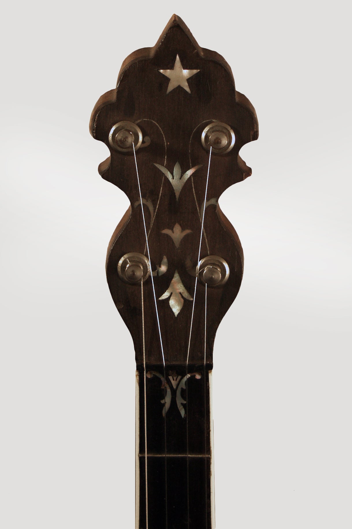 Rettberg and Lange Supertone New Professional 5 String Banjo (1915)