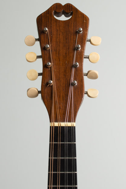 C. F. Martin Style B Flat Back Mandolin (1931)