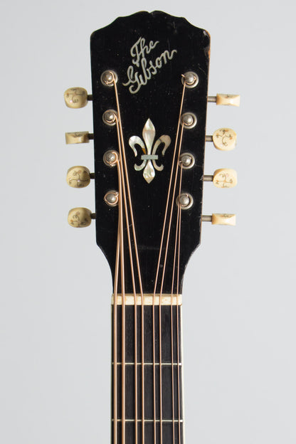 Gibson K-2 Carved Top Mandocello (1914)