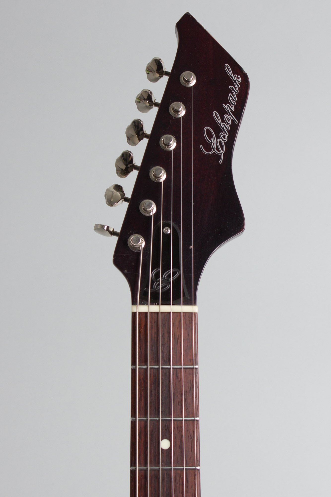Echopark Arroyo Solid Body Electric Guitar (2022)