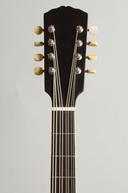 Gibson K-1 Carved Top Mandocello (1924)