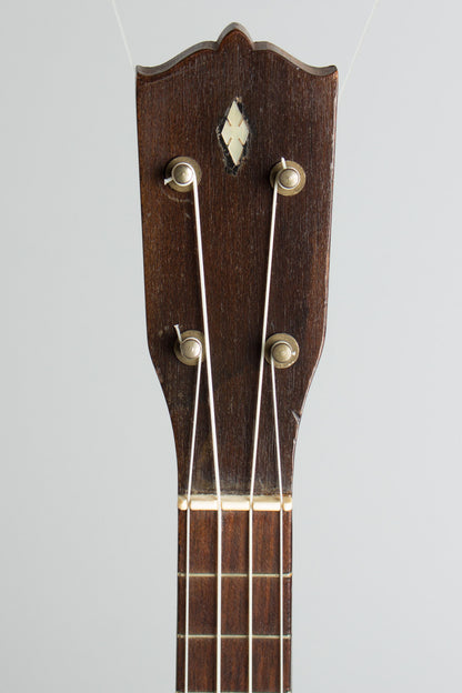 Harmony Resonator Banjo Ukulele (1926)