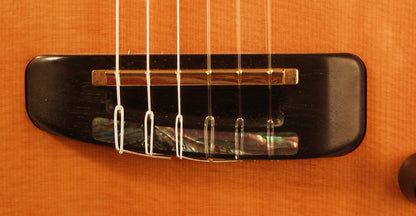 Parker Spanish Fly Solid Body Electric Classical Guitar (2000)