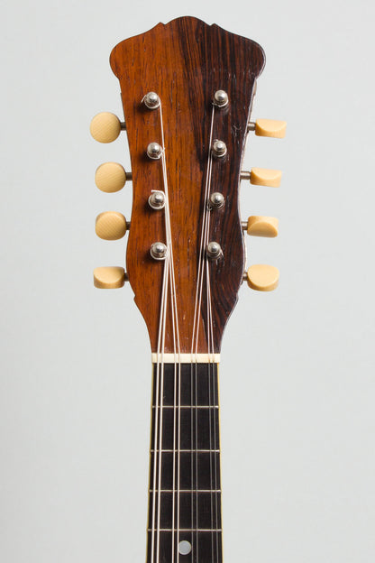 Vega Cylinder Back Model 205 Mandolin (1917)