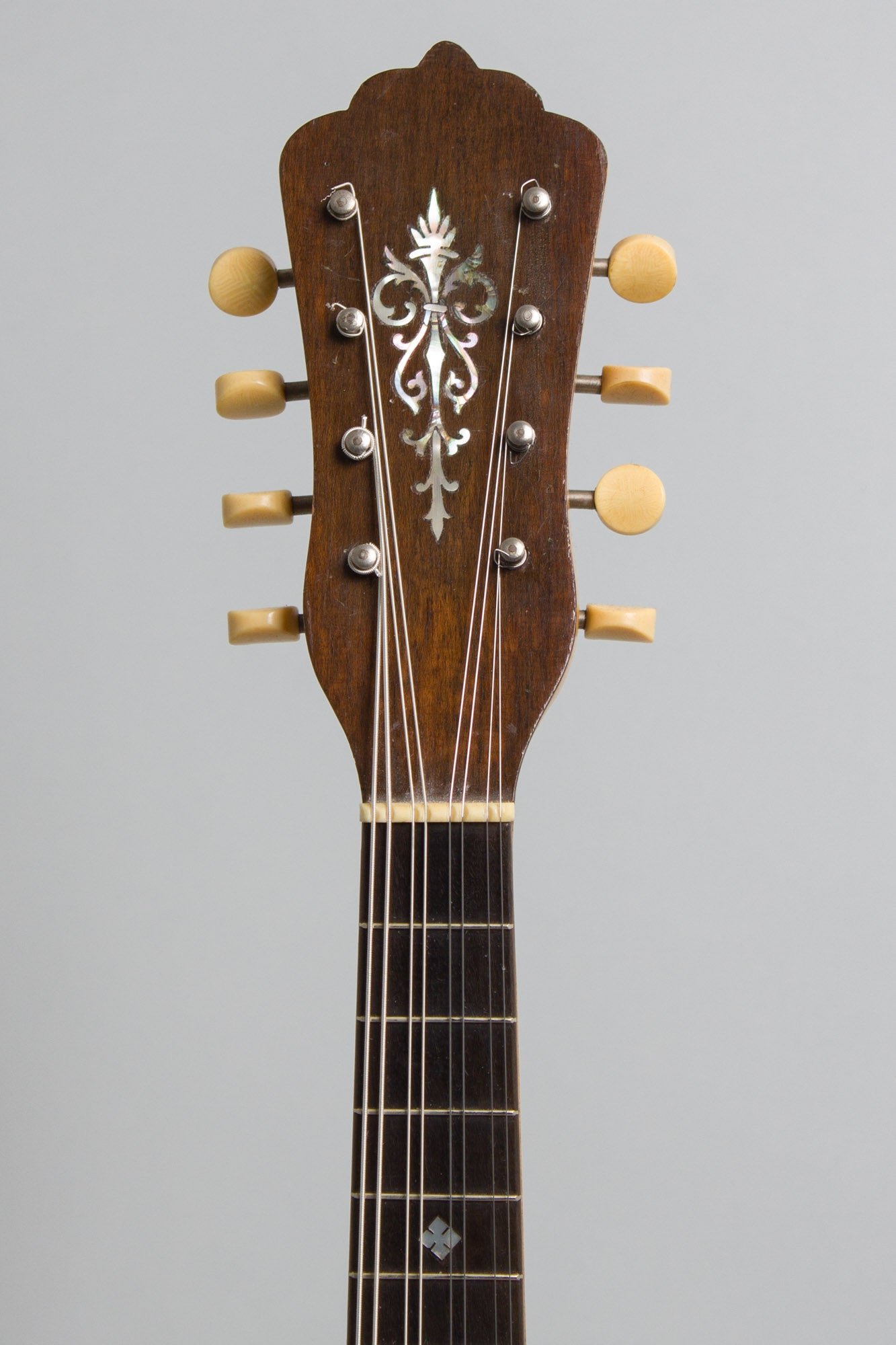 Favilla Bros. Mandolin Banjo (1920)