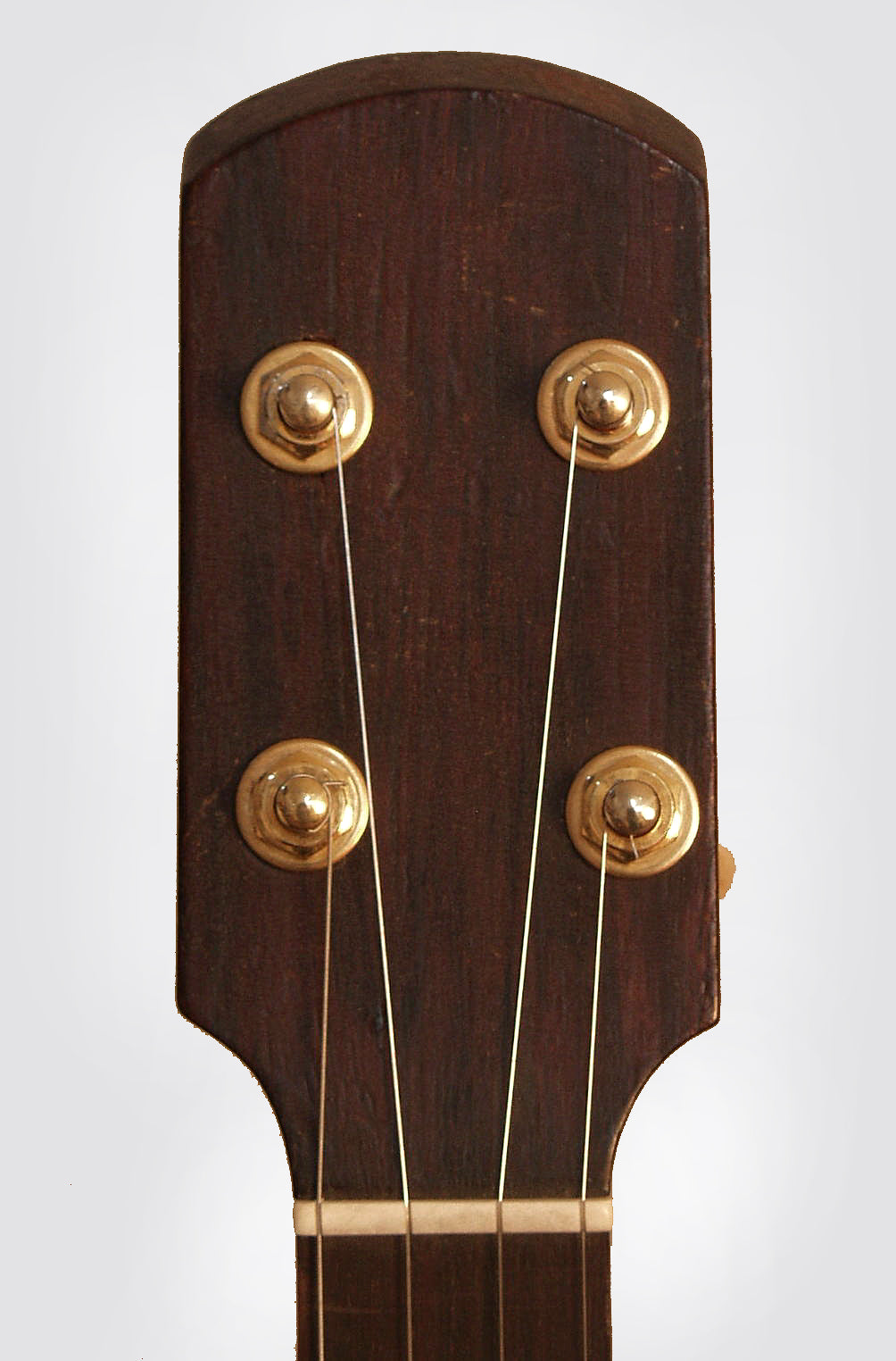 unlabelled 5 String Banjo (1880)