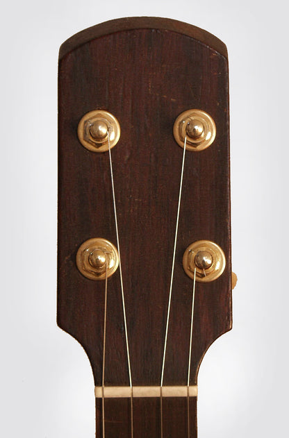 unlabelled 5 String Banjo (1880)