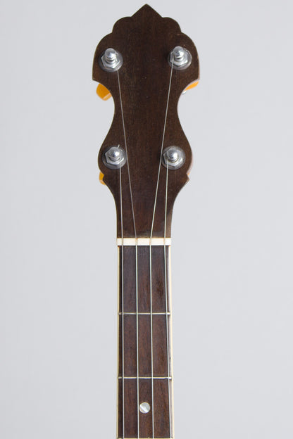 Vega Imperial Electric 5 String Banjo (1923)