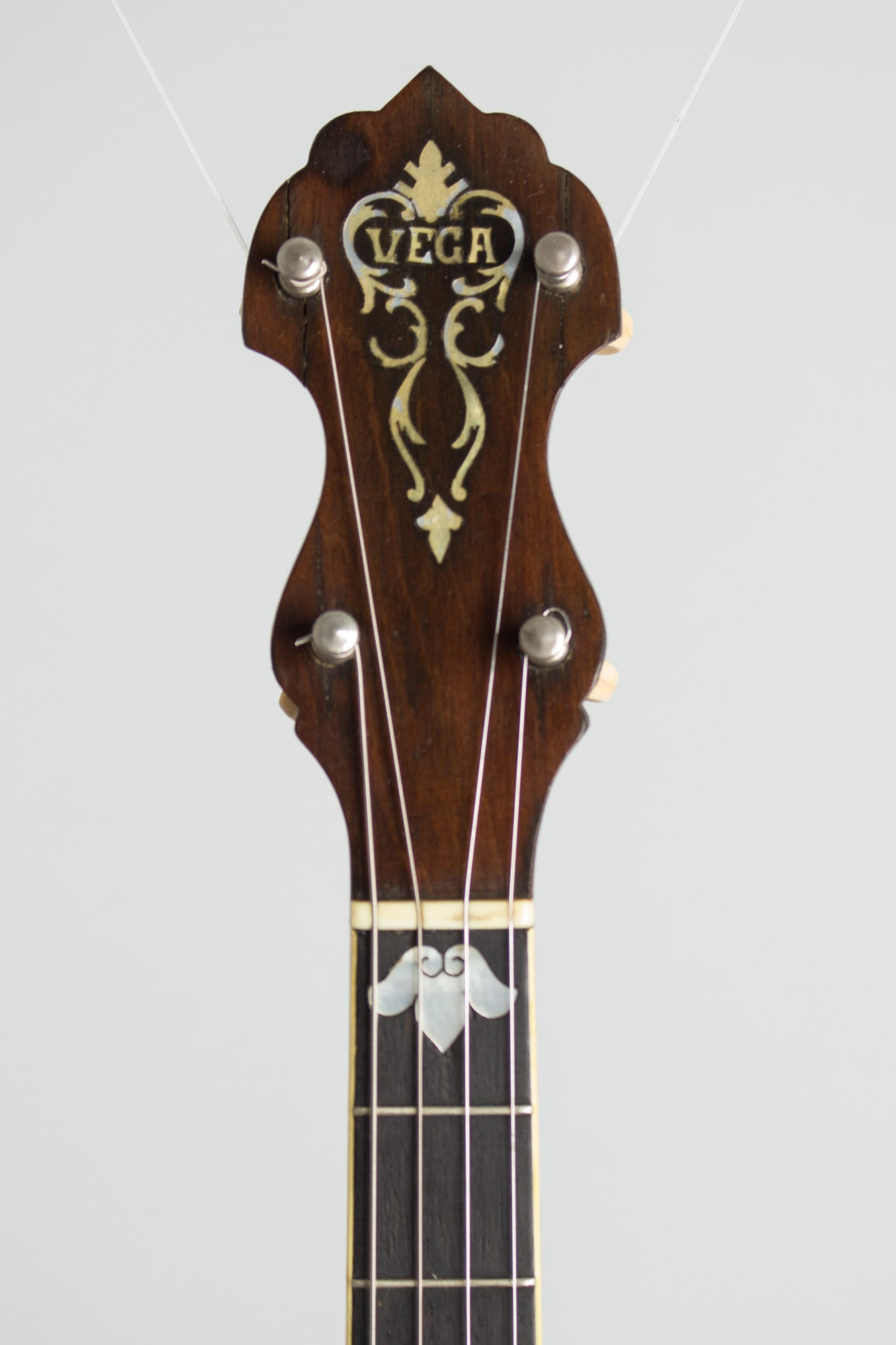 Vega Tu-Ba-Phone Style M Tenor Banjo (1926)