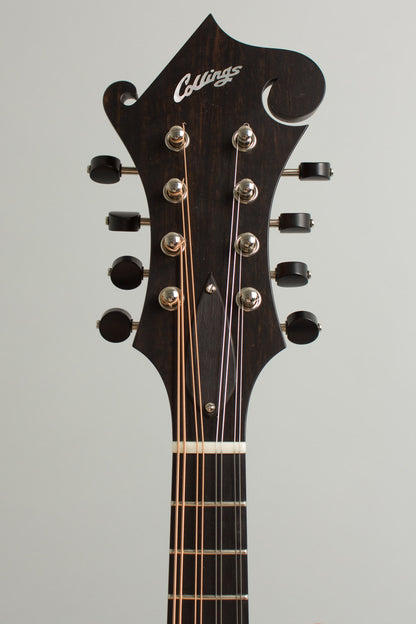 Collings MF Carved Top Mandolin (2025)