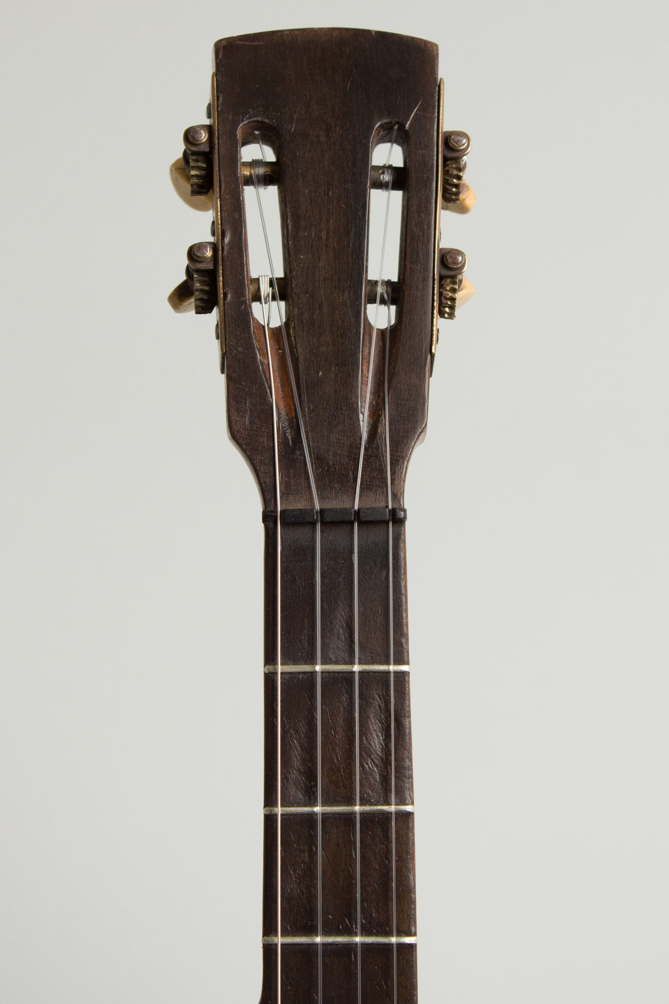 unlabelled 5 String Banjo (1890)