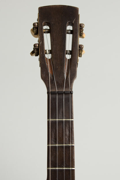 unlabelled 5 String Banjo (1890)