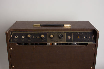 Magnatone Custom 410 Tube Amplifier (1961)