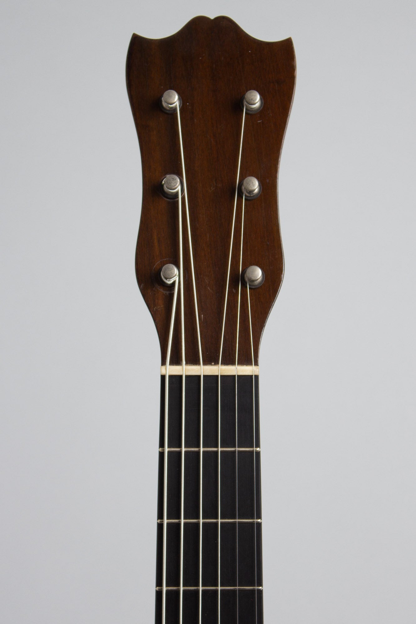 Lyon & Healy American Conservatory Model 4815 Guitar Banjo (1922)
