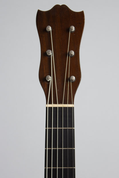 Lyon & Healy American Conservatory Model 4815 Guitar Banjo (1922)