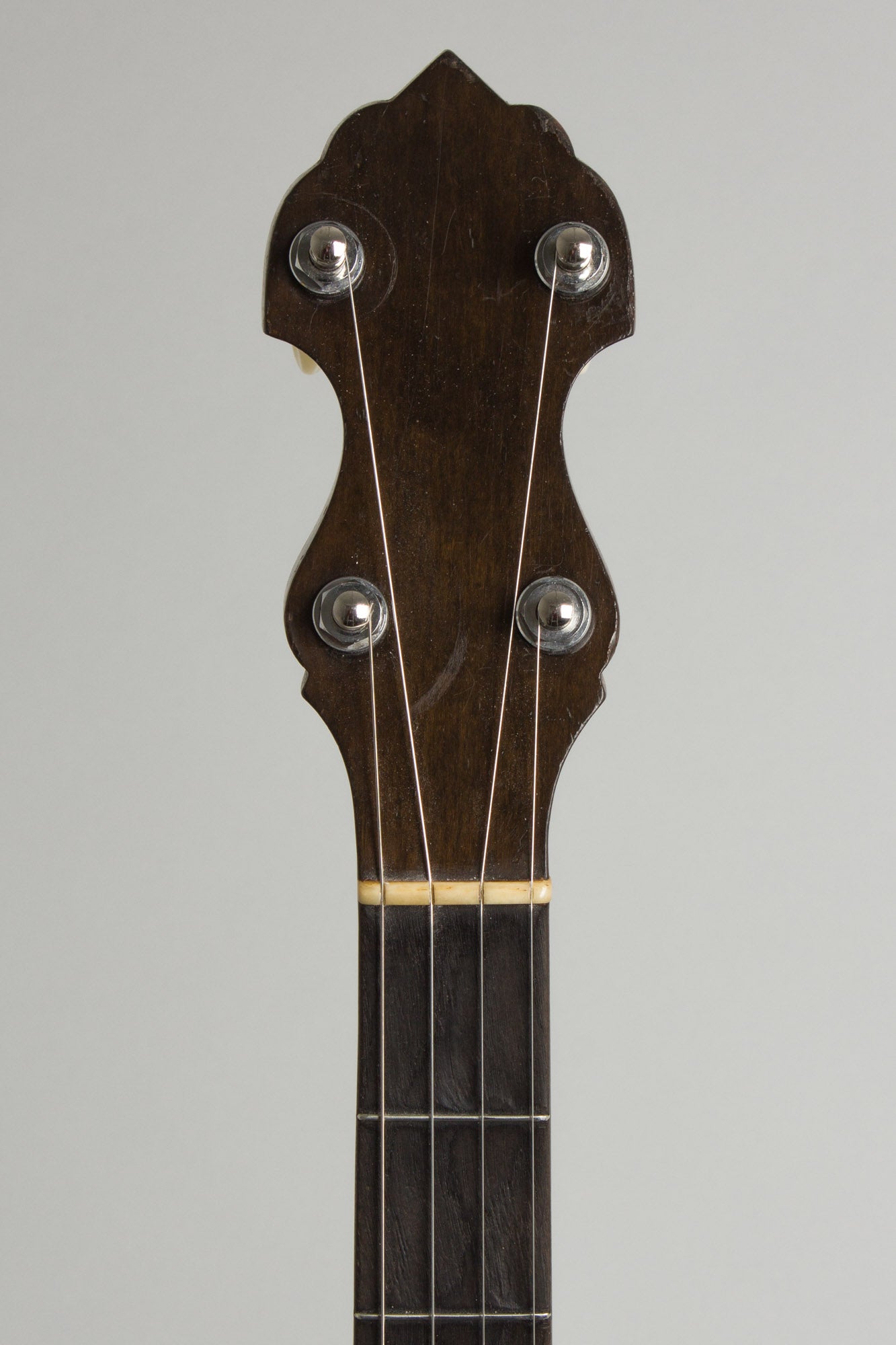 Fairbanks/Vega Senator 5 String Banjo (1920)