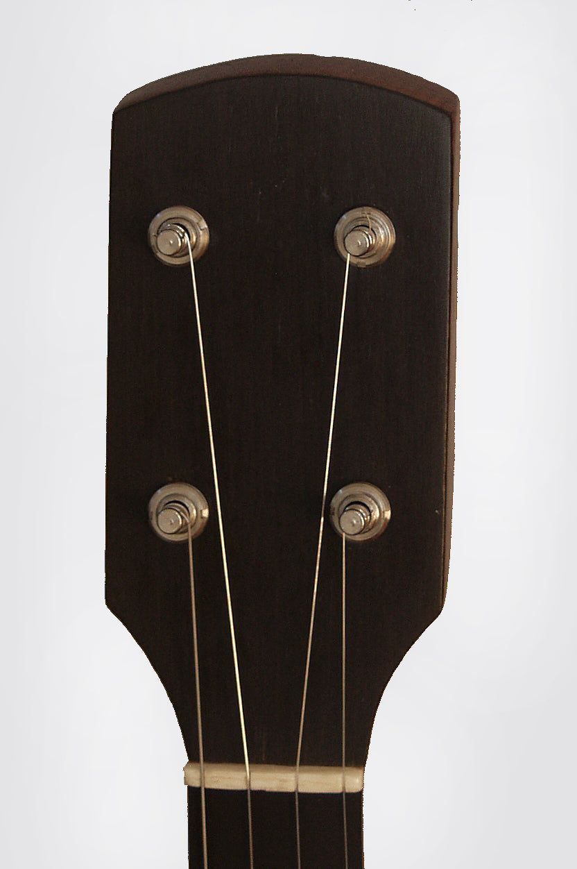 Buckbee 5 String Banjo (1880's)