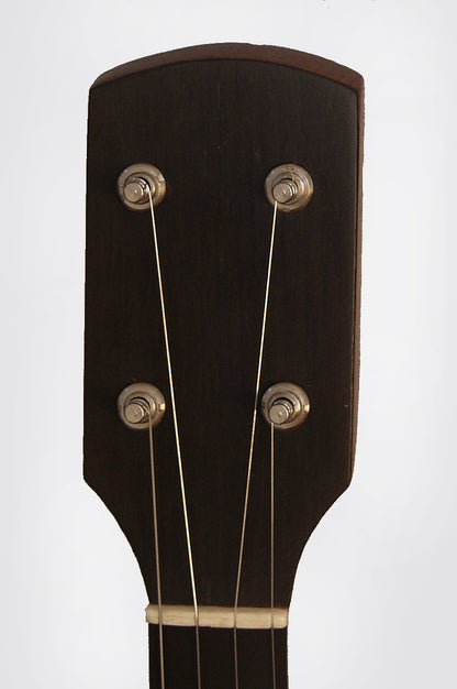 Buckbee 5 String Banjo (1880's)
