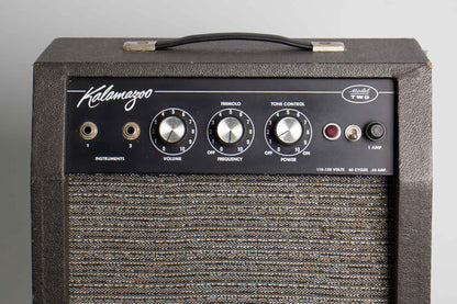 Kalamazoo Model Two Tube Amplifier (1965)