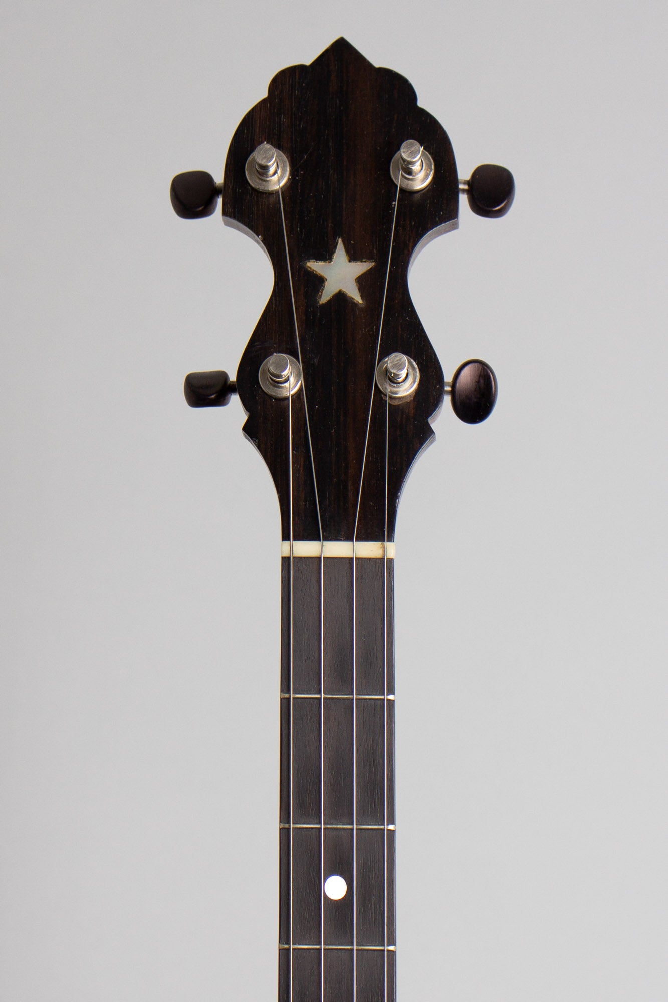 Bart Reiter Dobaphone Custom 5 String Banjo (2014)