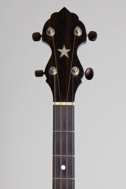 Bart Reiter Dobaphone Custom 5 String Banjo (2014)