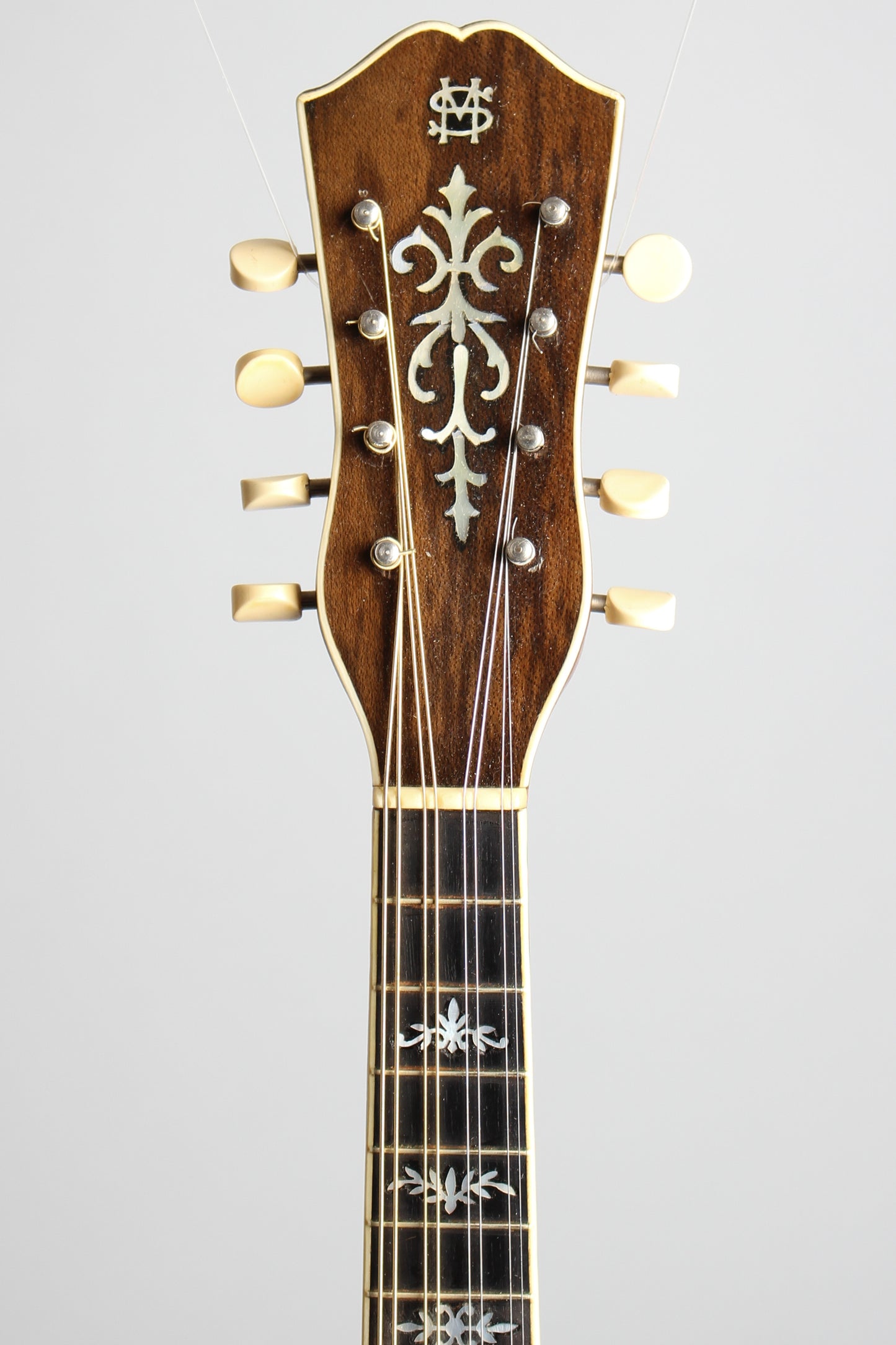 Favilla Marca Aquilla Flat Back, Bent Top Mandolin (1925)