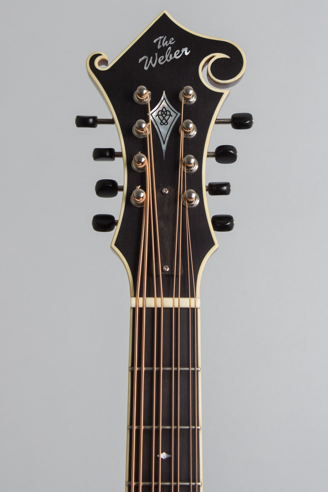 Weber Carved Top Mandocello (2016)