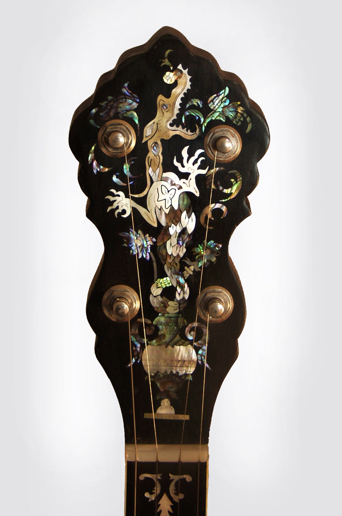 Ashborn Style Hybrid 5 String Banjo (1980's)