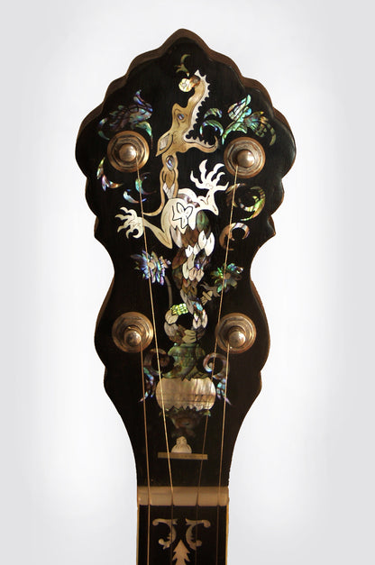 Ashborn Style Hybrid 5 String Banjo (1980's)