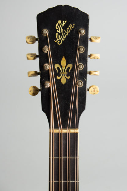 Gibson K-2 Carved Top Mandocello (1911)