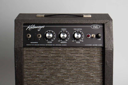 Kalamazoo Model Two Tube Amplifier (1966)