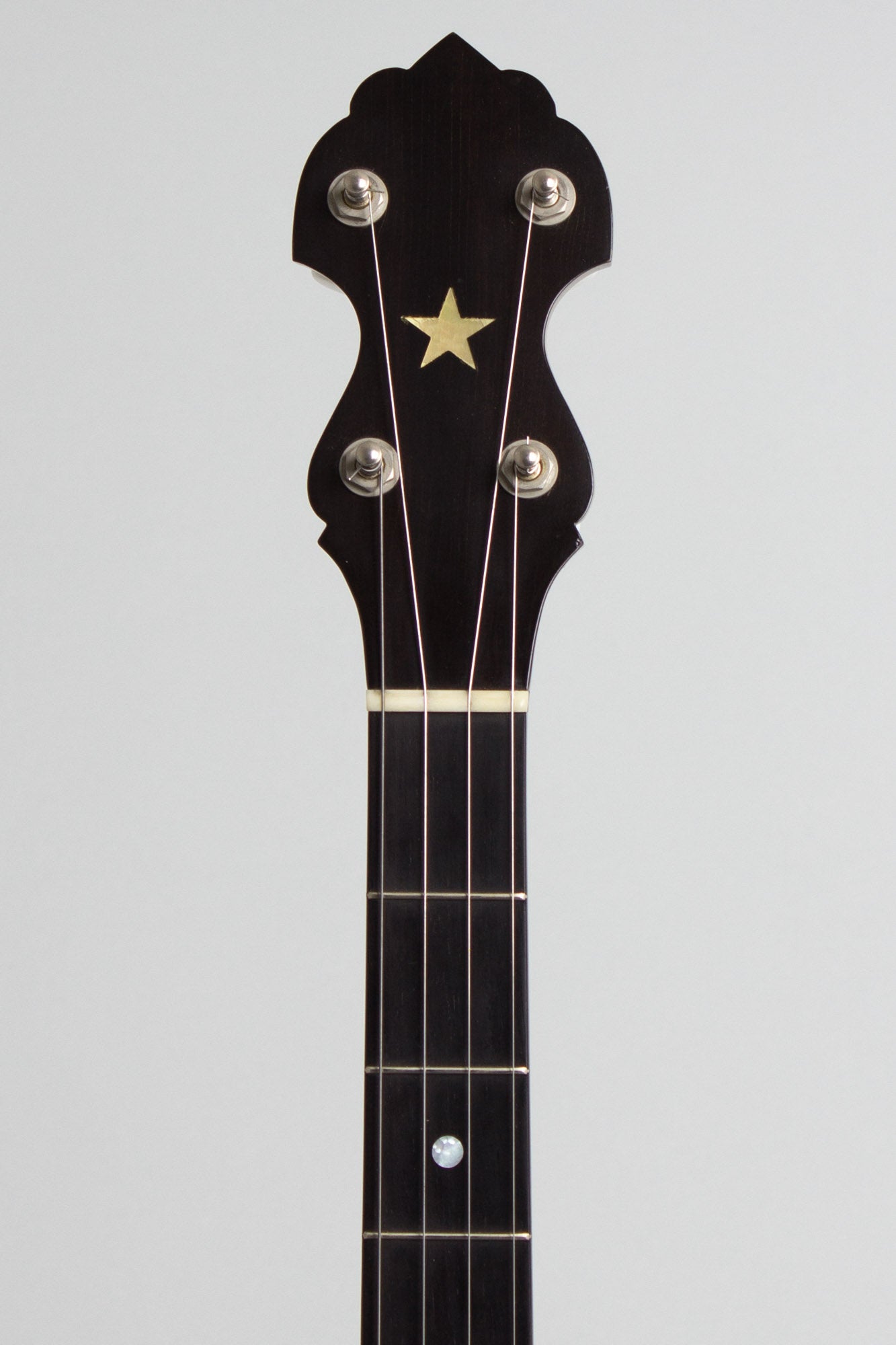 Bart Reiter Special 5 String Banjo (1998)