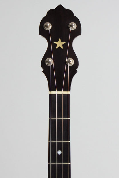 Bart Reiter Special 5 String Banjo (1998)
