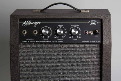 Kalamazoo Model Two Small Combo Tube Amplifier (1966)