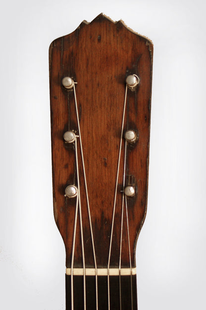 Fairbanks/Vega Electric Guitar Banjo (1920)