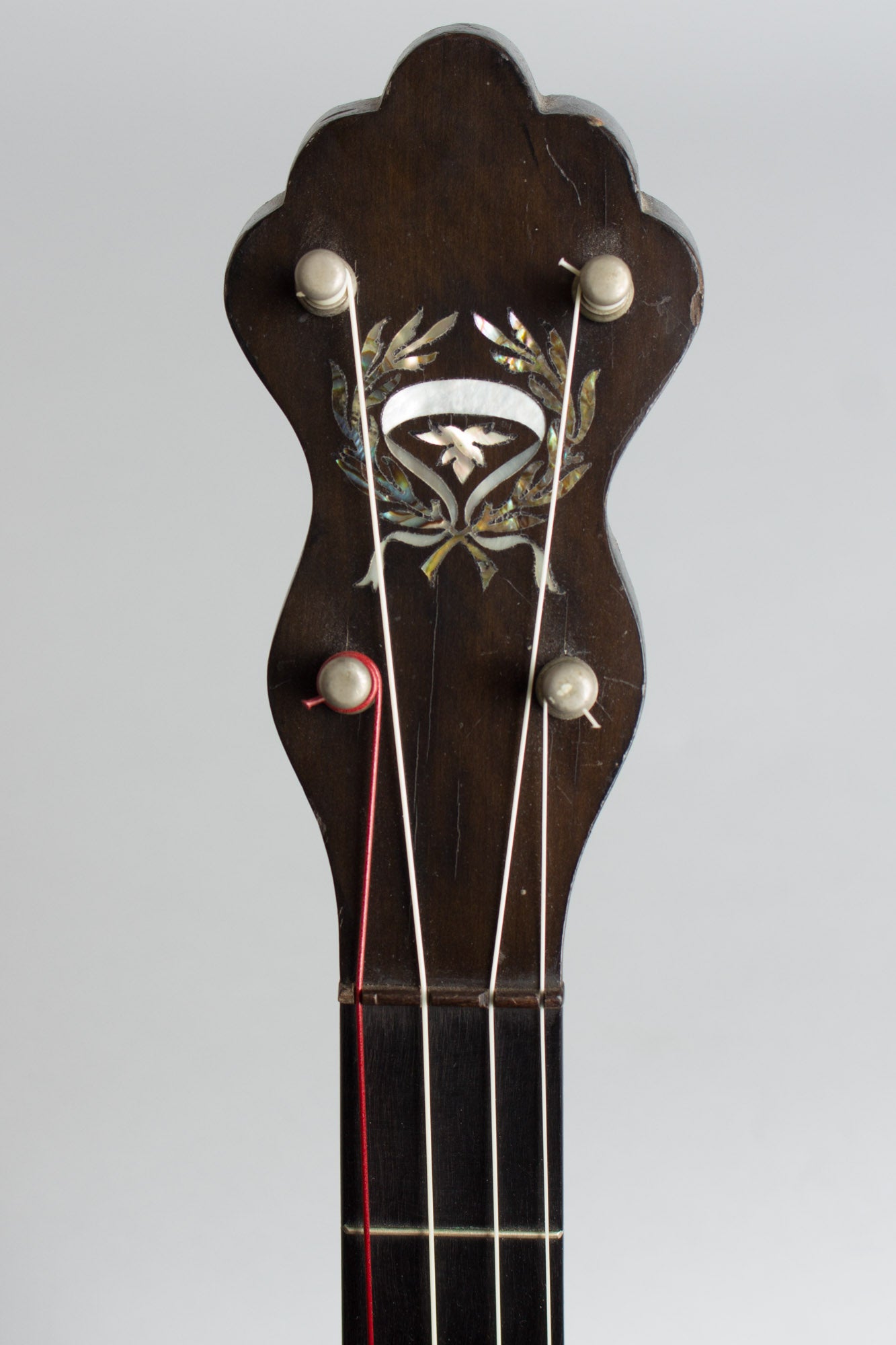A. A. Farland Black Beauty 5 String Banjo (1915)