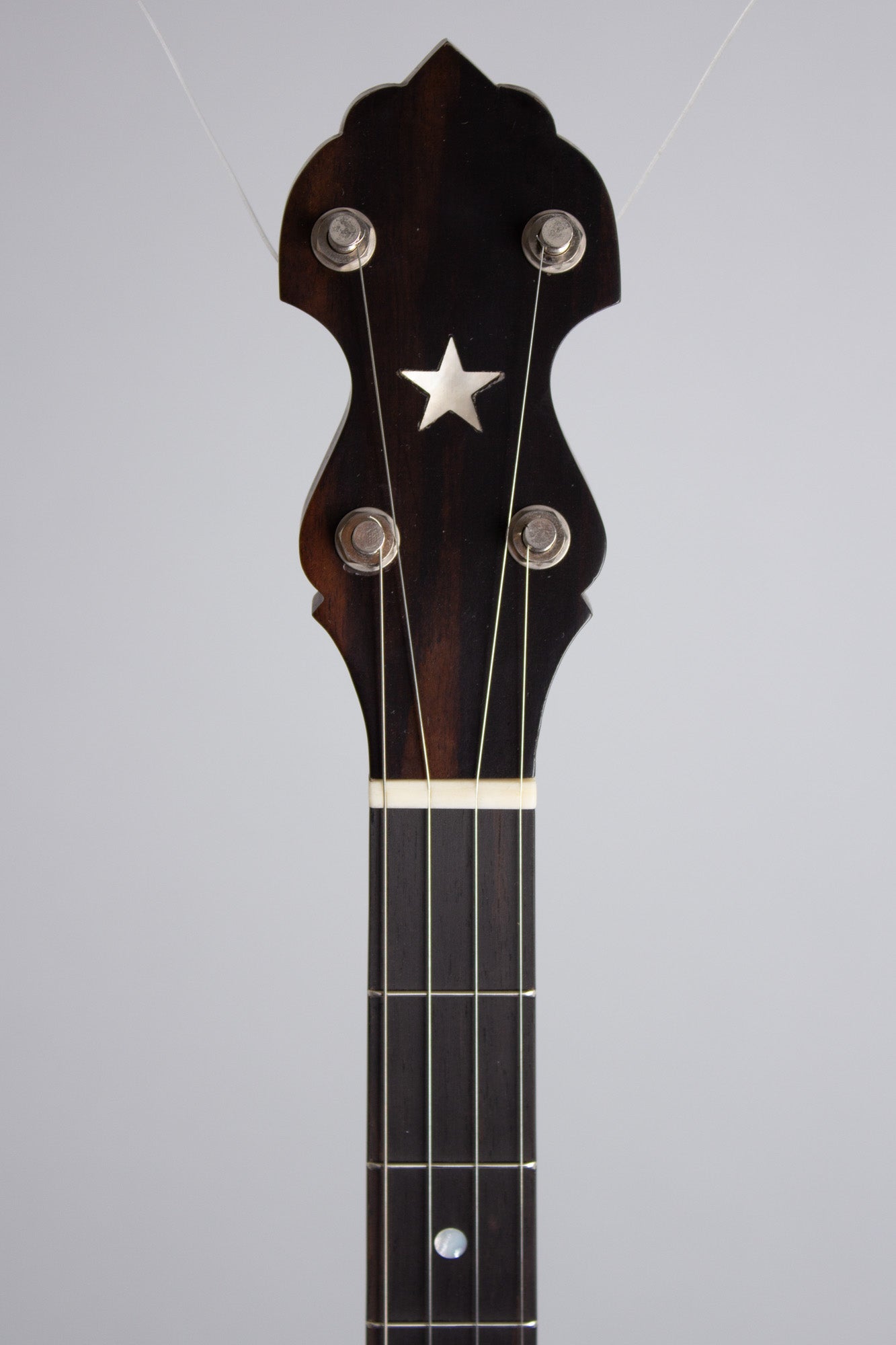 Bart Reiter Dobaphone 5 String Banjo (2020)