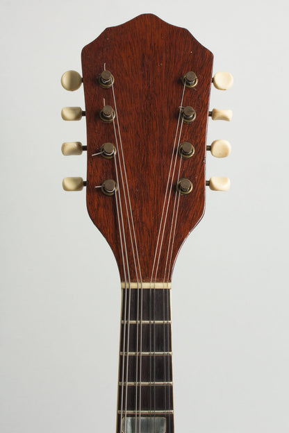 Kay Florentine K-72 Hollow Body Electric Mandolin (1959)