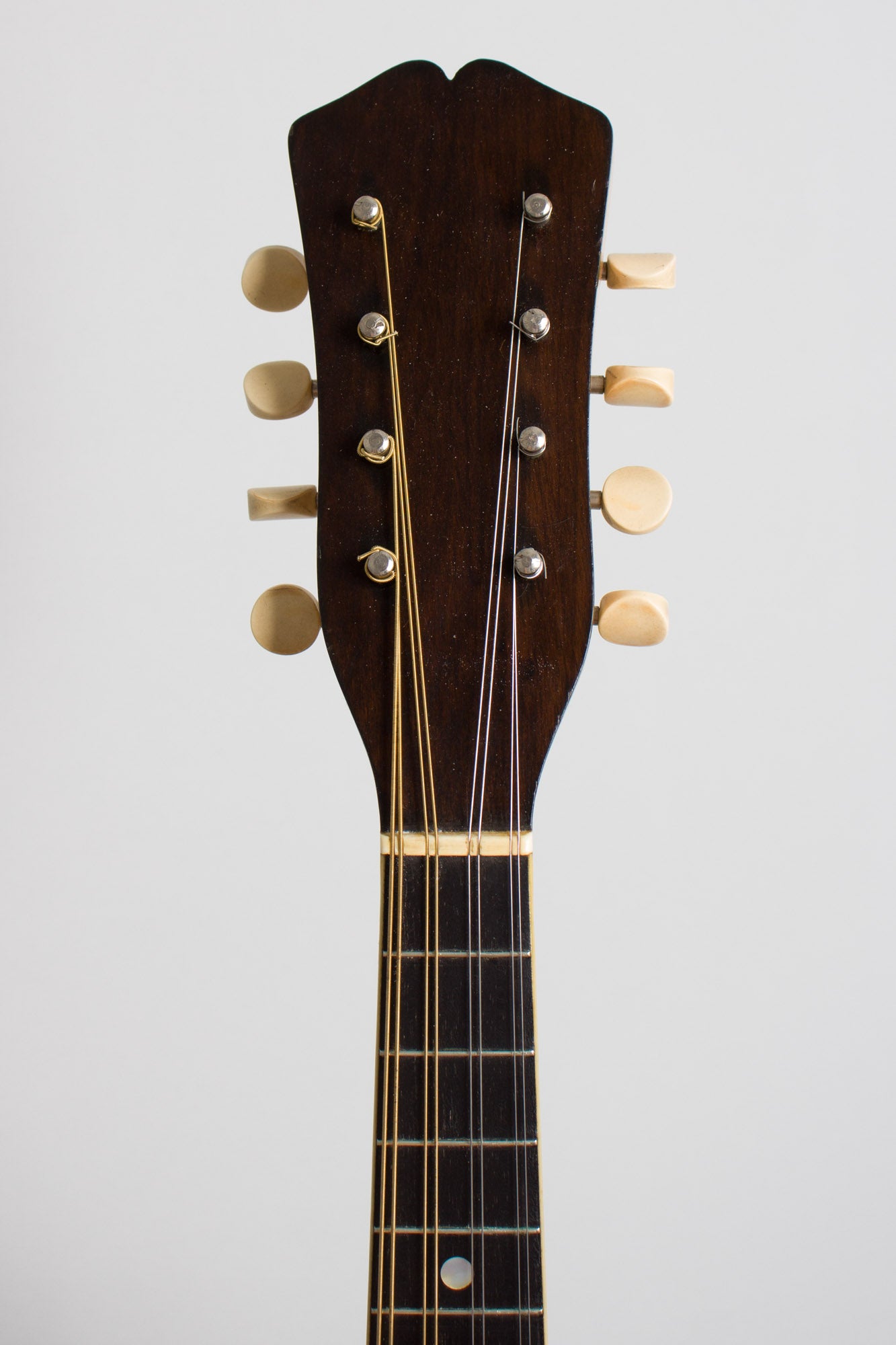 Vega Fairbanks Little Wonder Mandolin Banjo (1917)