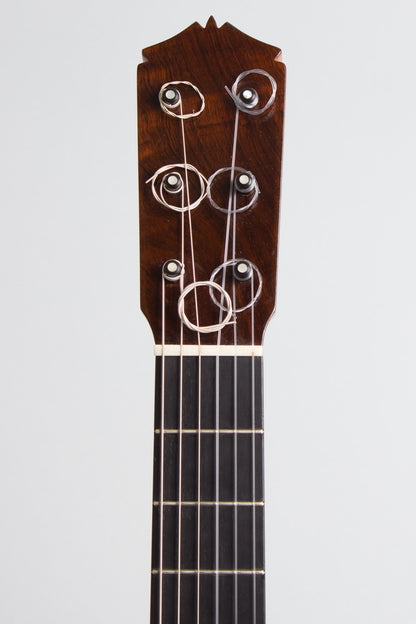 Darren Hippner Barbero pattern Flamenco Guitar (2013)