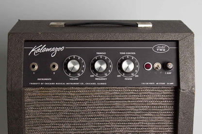 Kalamazoo Model Two Tube Amplifier (1966)