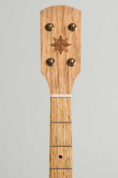 Pisgah Dobson 5 String Banjo (2025)