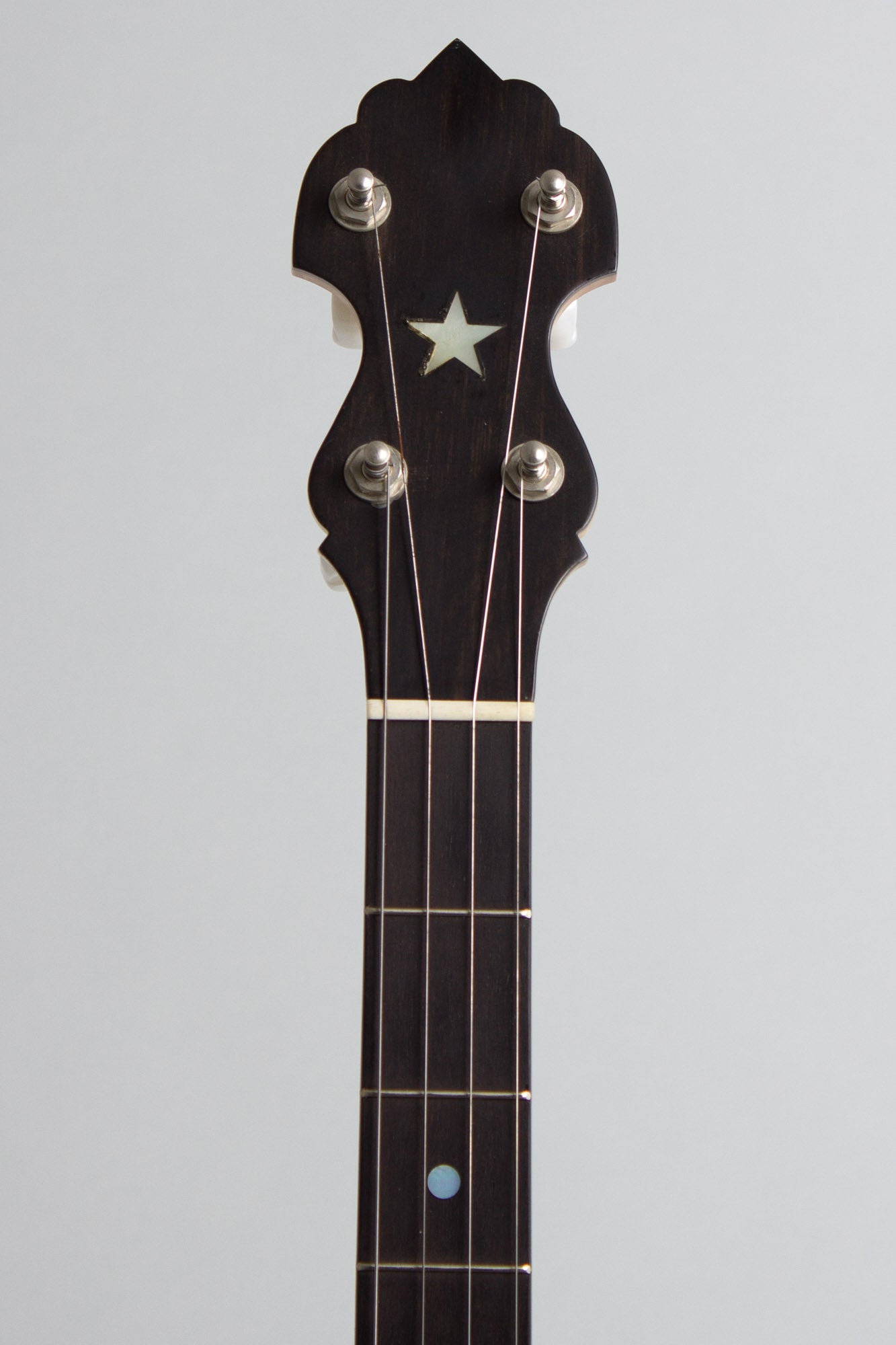 Bart Reiter Special 5 String Banjo (1996)