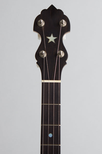 Bart Reiter Special 5 String Banjo (1996)