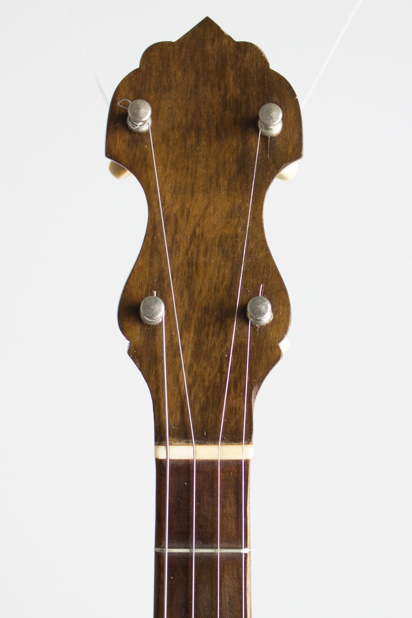 Vega Style N Tenor Banjo (1924)