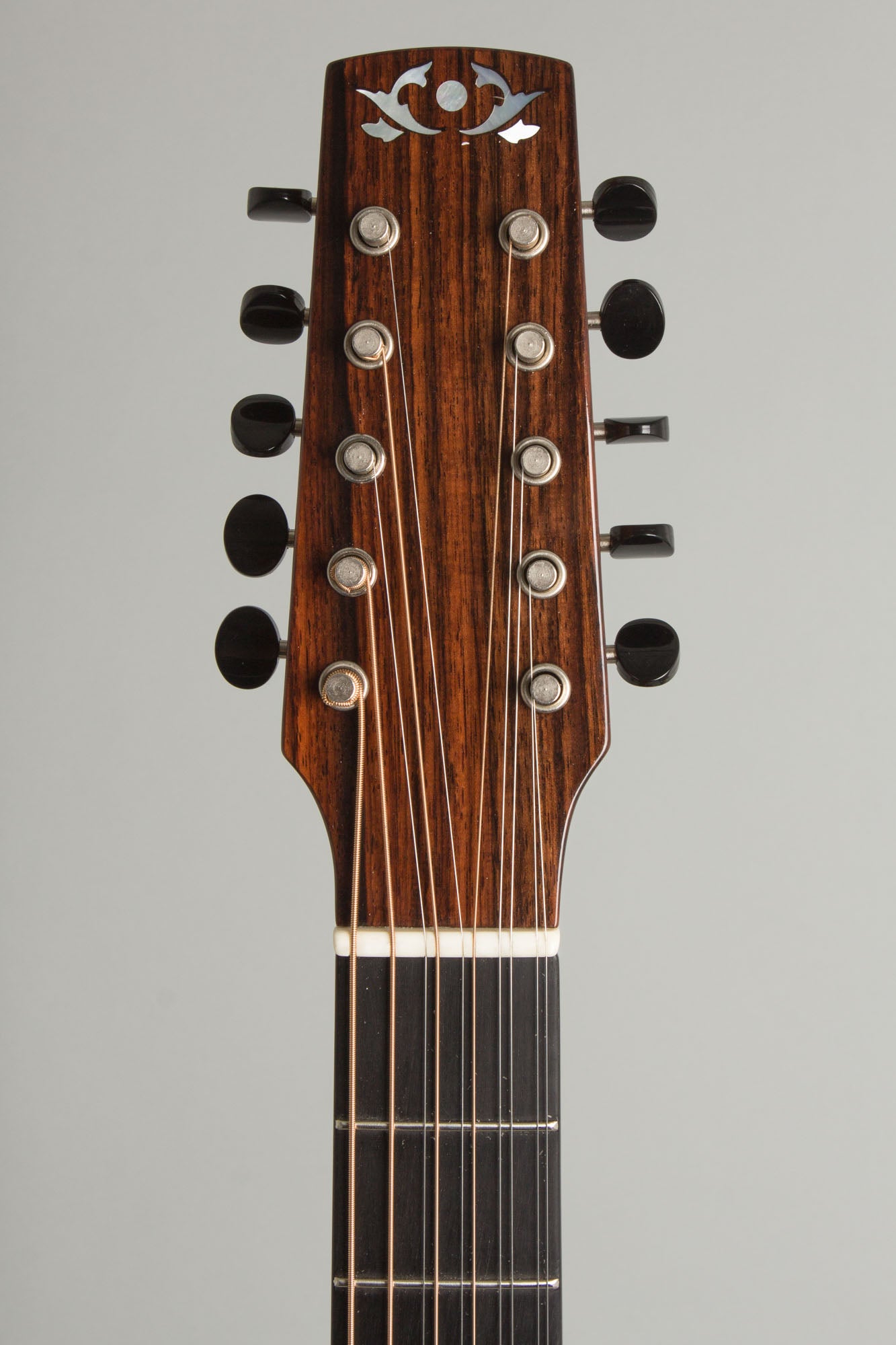 Circle Strings A-1 10 String Acoustic Flat Top Guitar (2018)